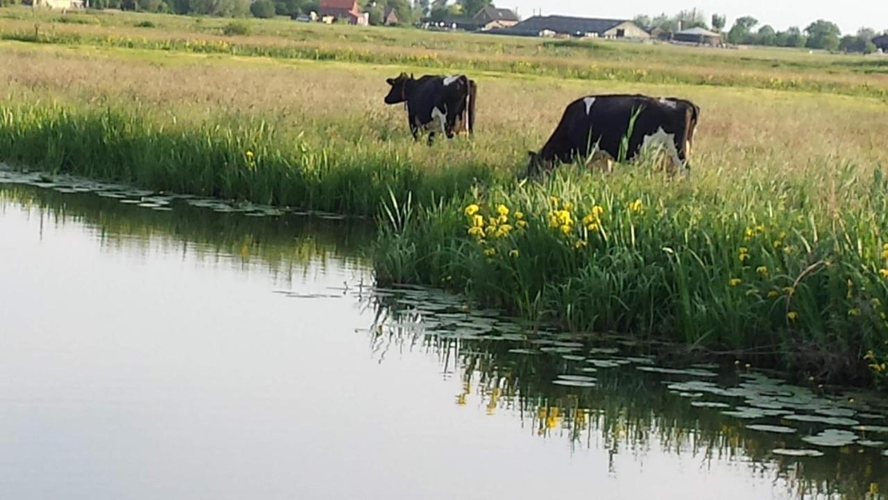 Het Kraaienbosch Bed and Breakfast Zegveld Exteriör bild